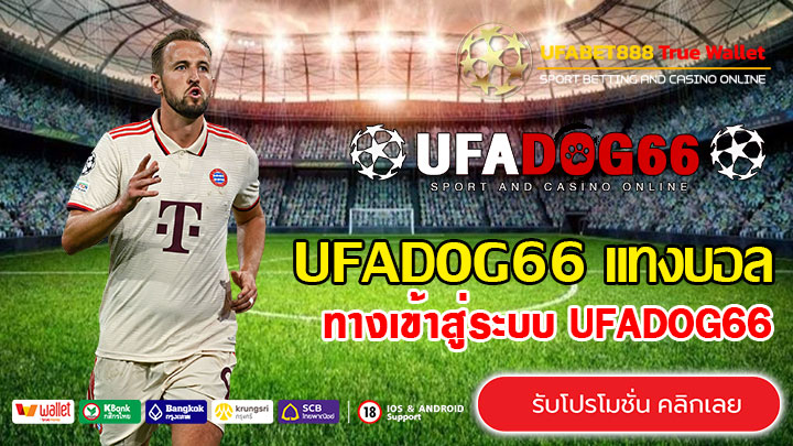UFADOG66