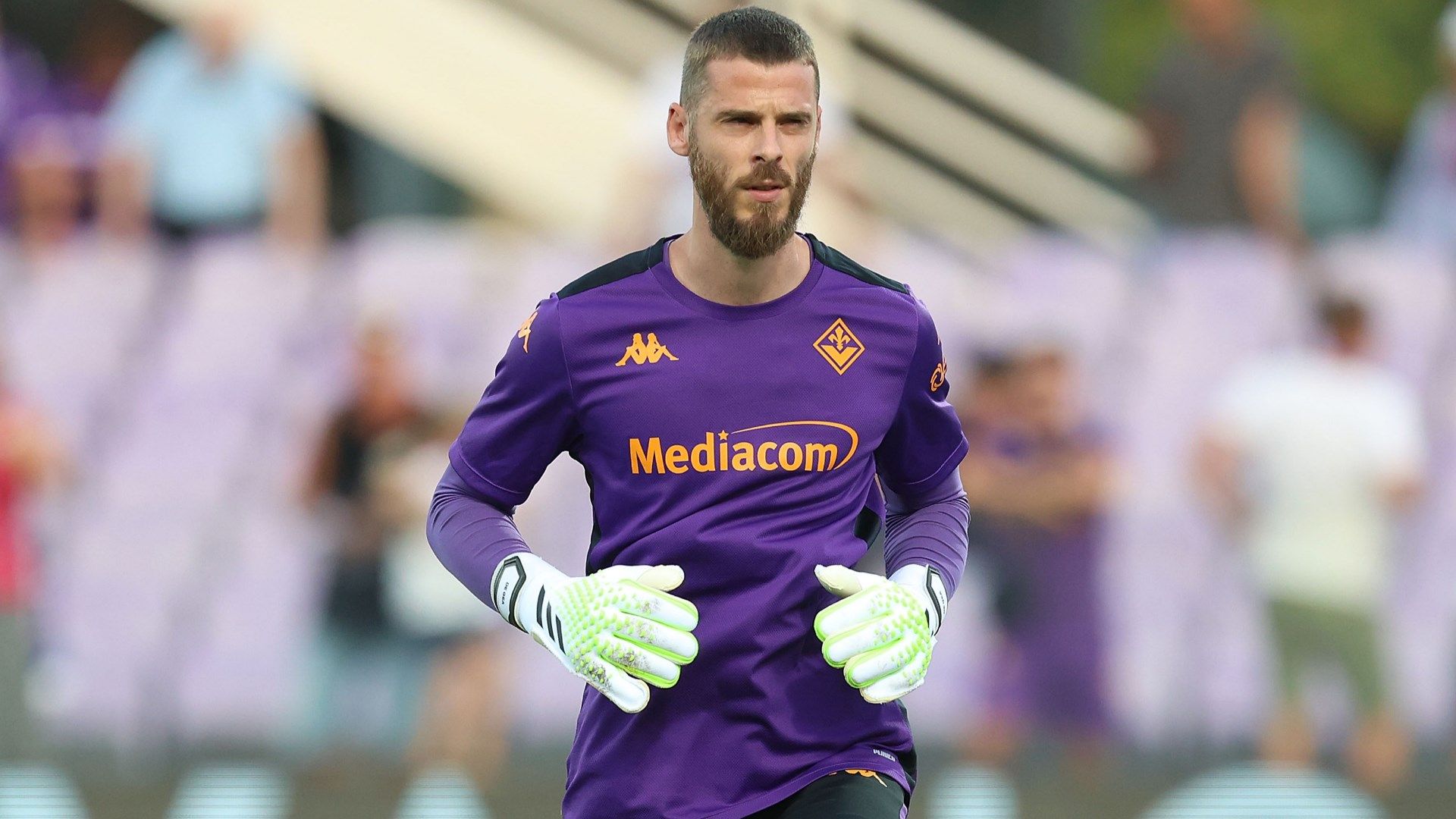 David de Gea